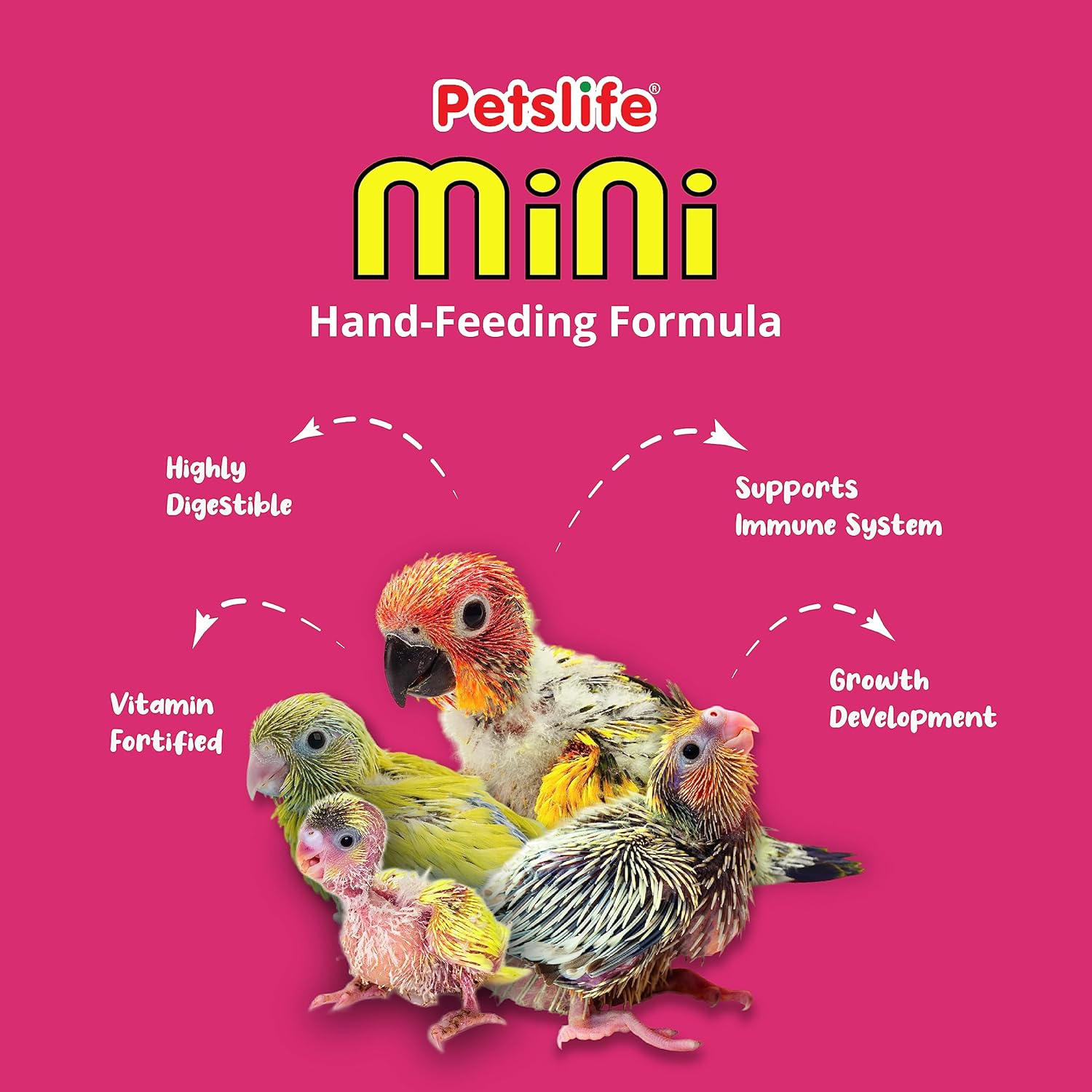 Petslife Mini Hand Feeding Formula for All Baby Birds, 50g - Image 2