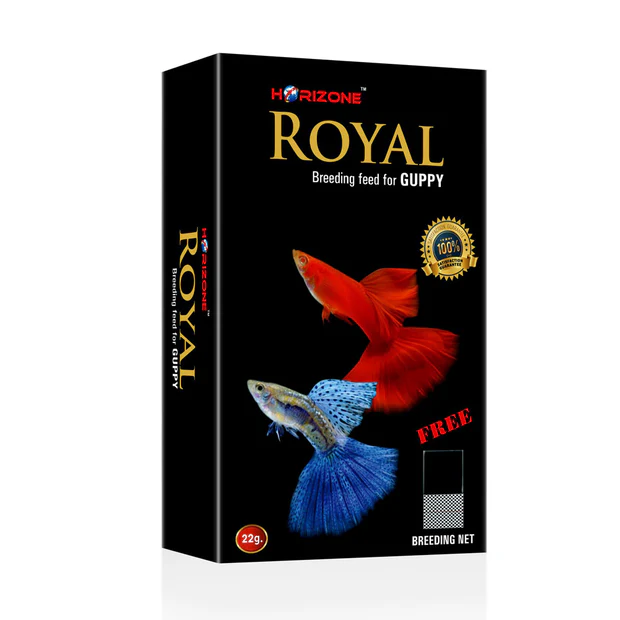 Horizone Royal Breeding Feed for Guppy Fish 22 grams Aquarium - Image 2