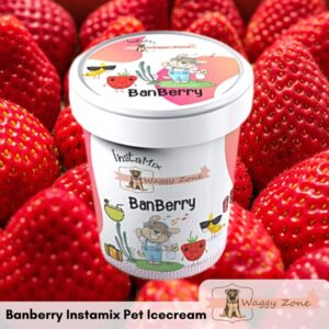 Ice Cream Treat for Dogs