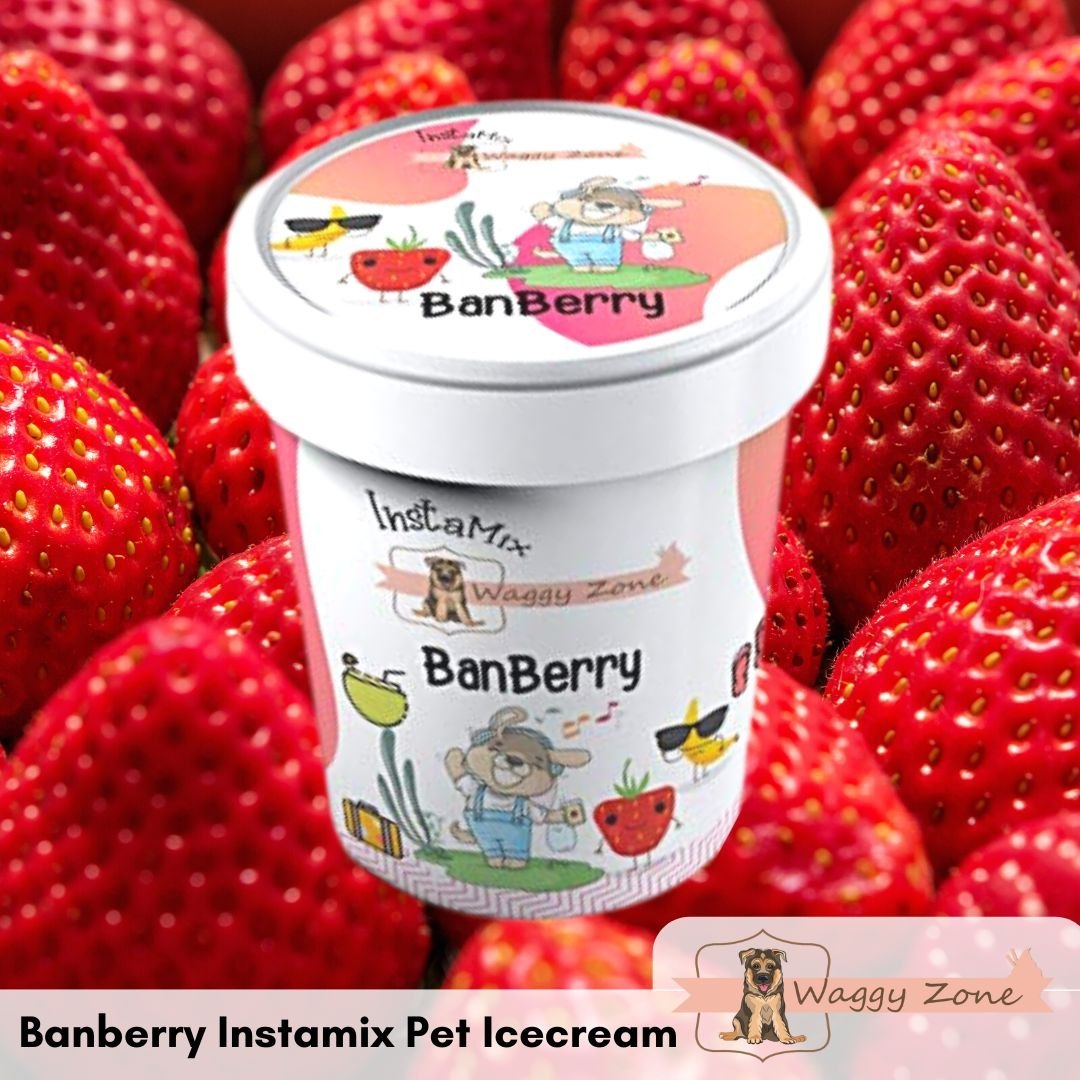 Ice Cream Treat for Dogs