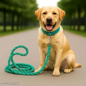 QUALITY 12MM ROPE LEASH FOR MEDIUM DOGS
